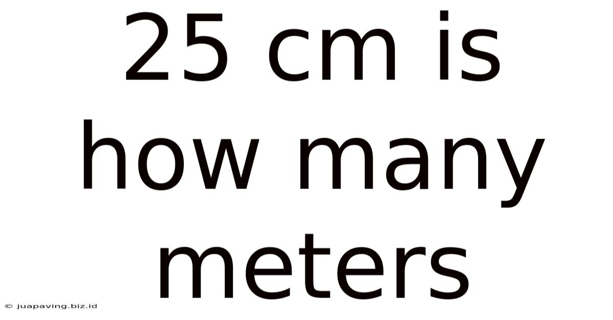 25 Cm Is How Many Meters