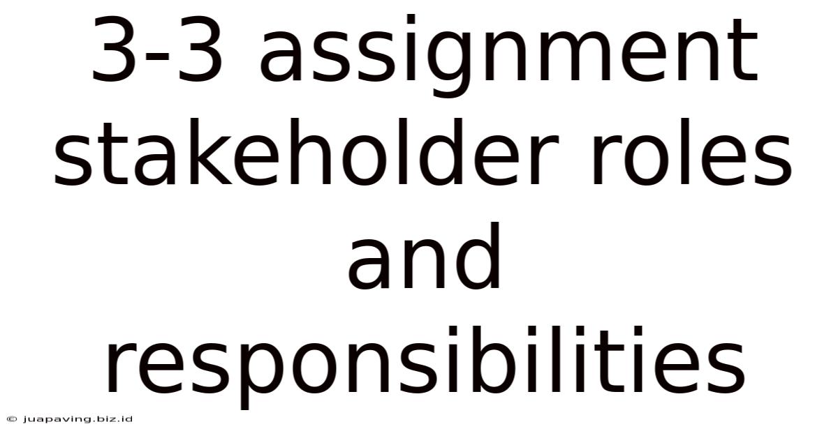 3-3 Assignment Stakeholder Roles And Responsibilities