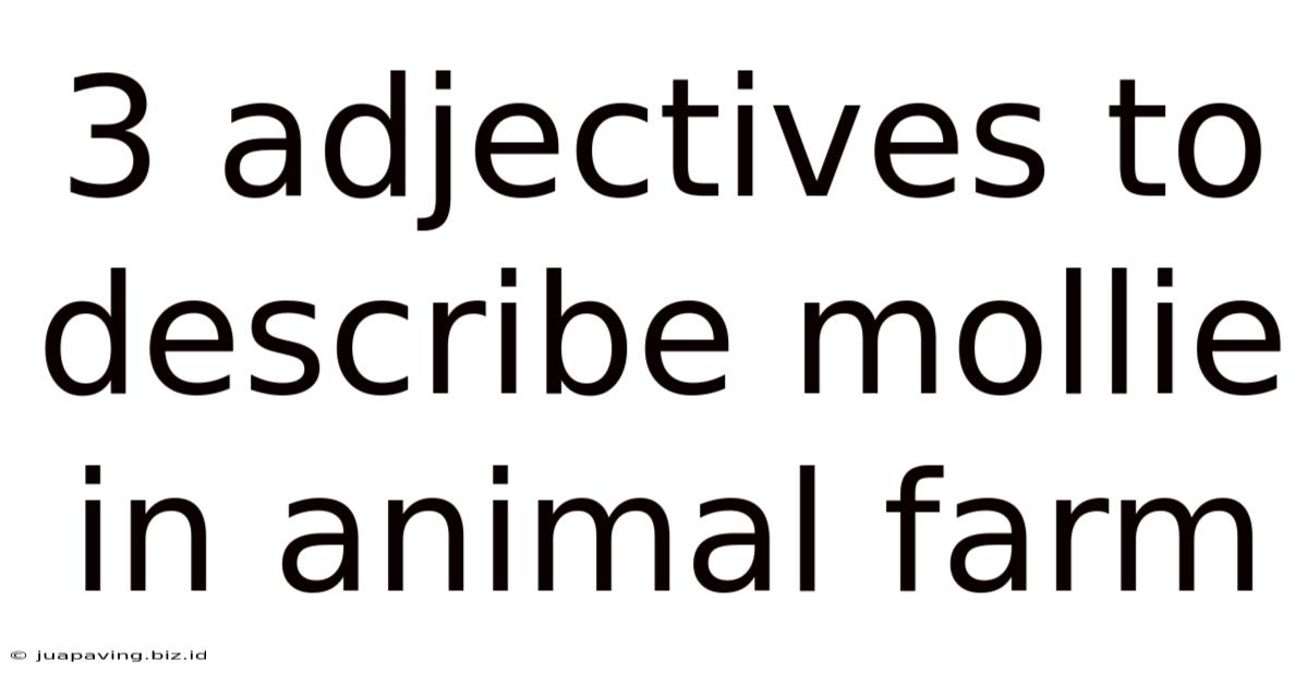 3 Adjectives To Describe Mollie In Animal Farm