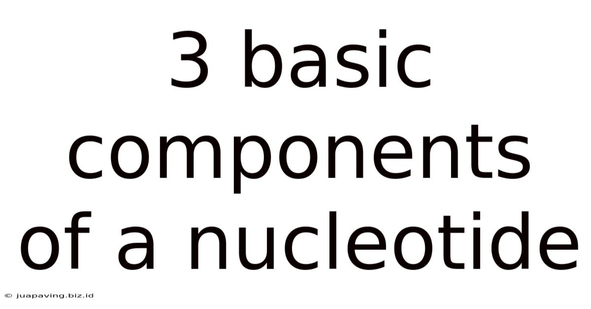 3 Basic Components Of A Nucleotide