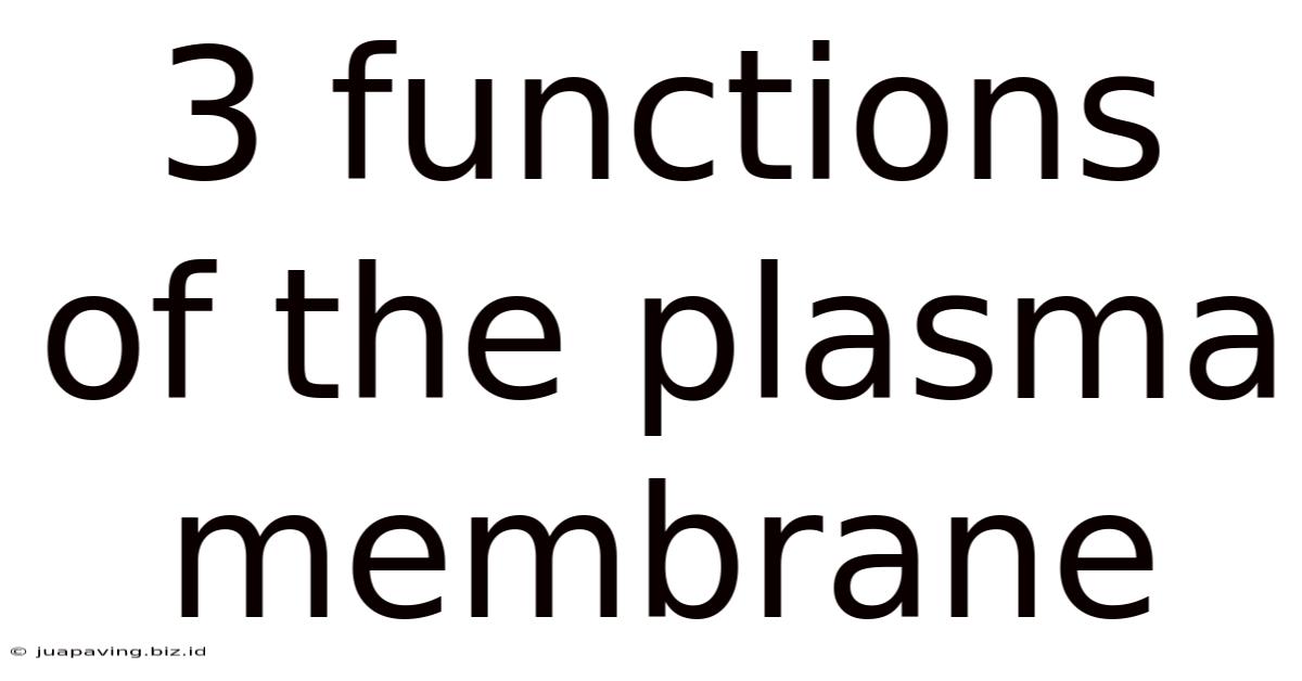 3 Functions Of The Plasma Membrane