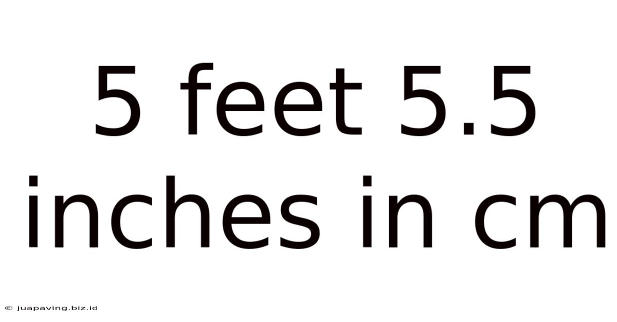 5 Feet 5.5 Inches In Cm