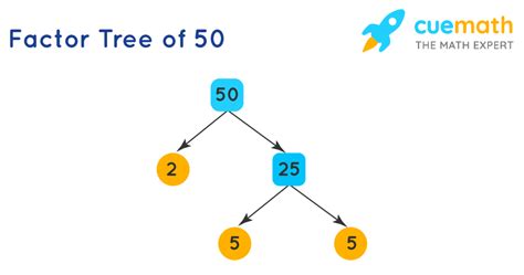 50 As A Product Of Prime Factors