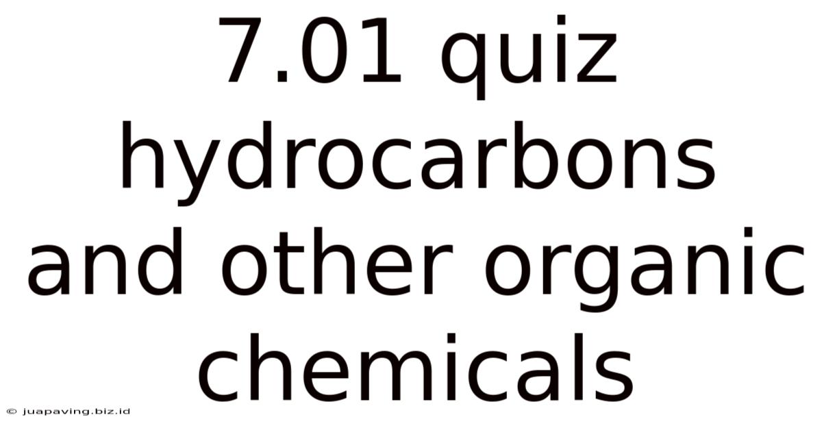 7.01 Quiz Hydrocarbons And Other Organic Chemicals