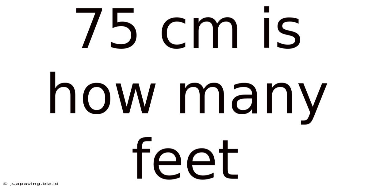 75 Cm Is How Many Feet