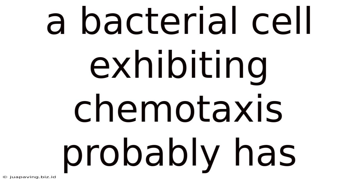 A Bacterial Cell Exhibiting Chemotaxis Probably Has