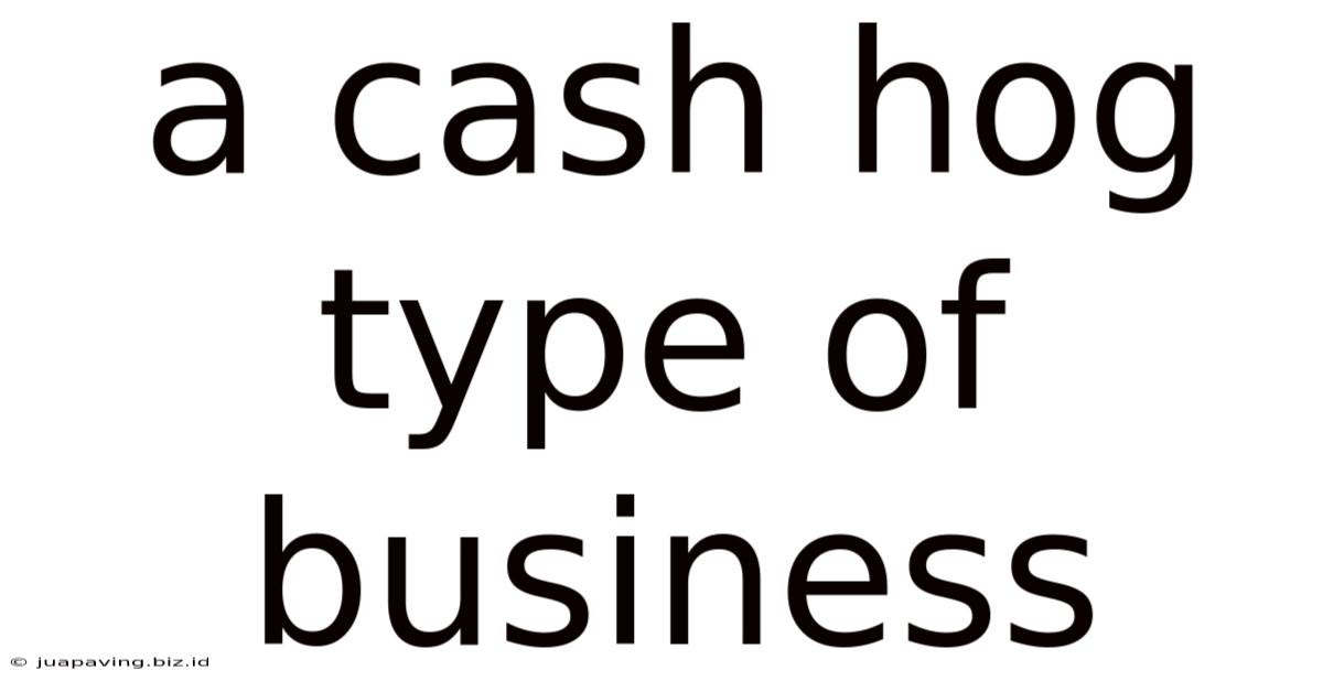 A Cash Hog Type Of Business