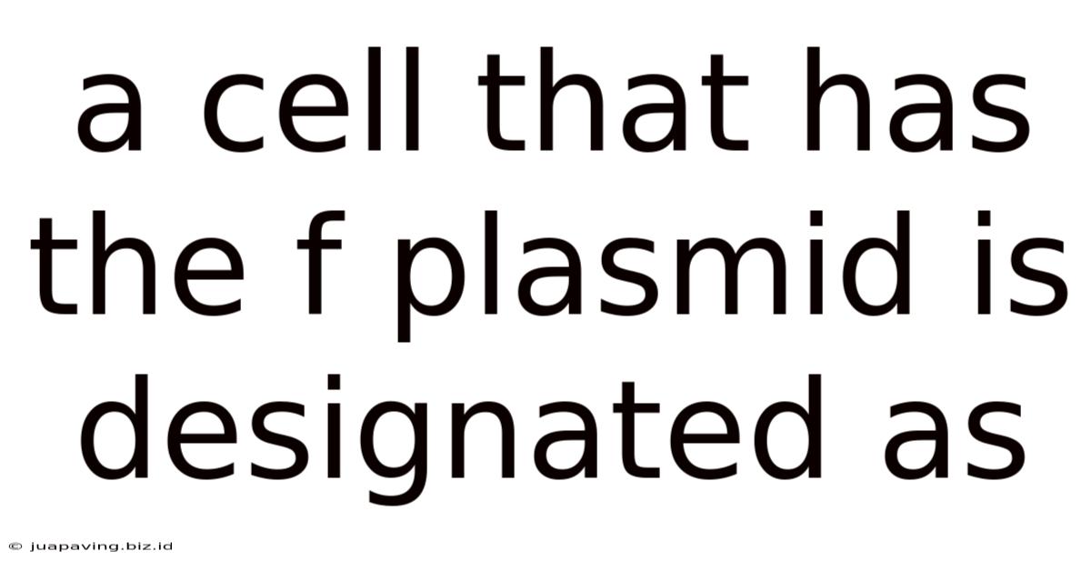 A Cell That Has The F Plasmid Is Designated As