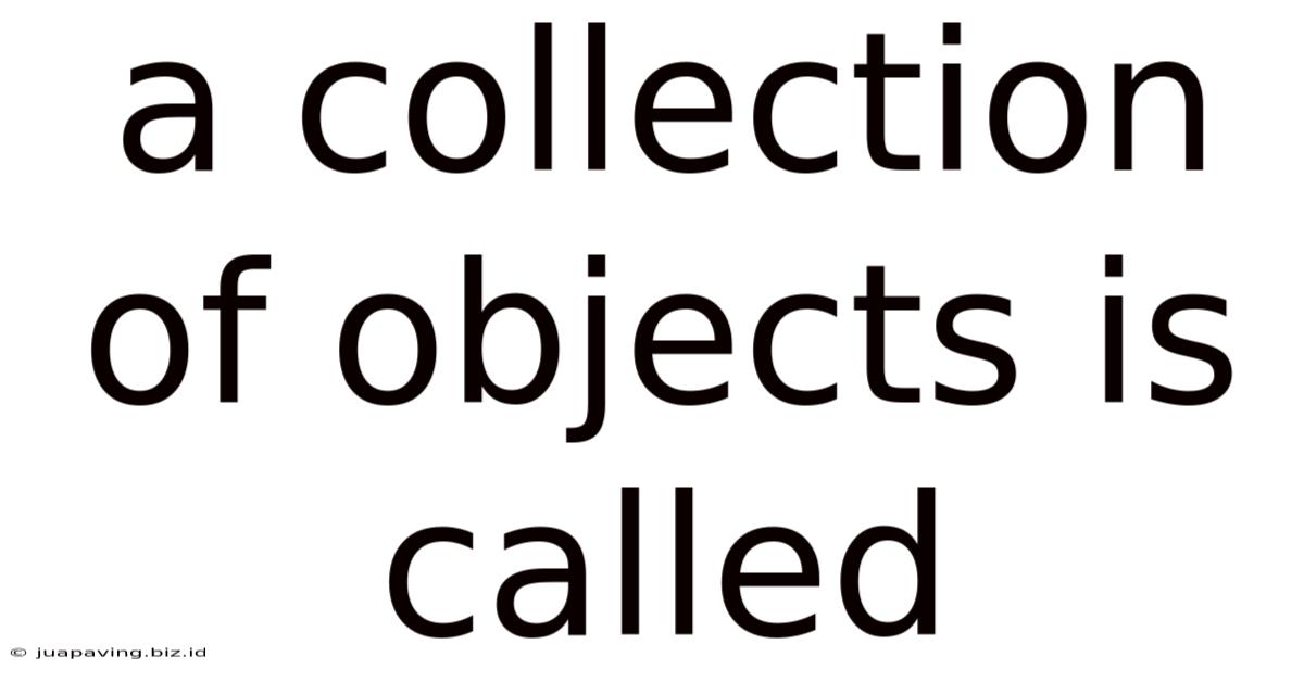A Collection Of Objects Is Called