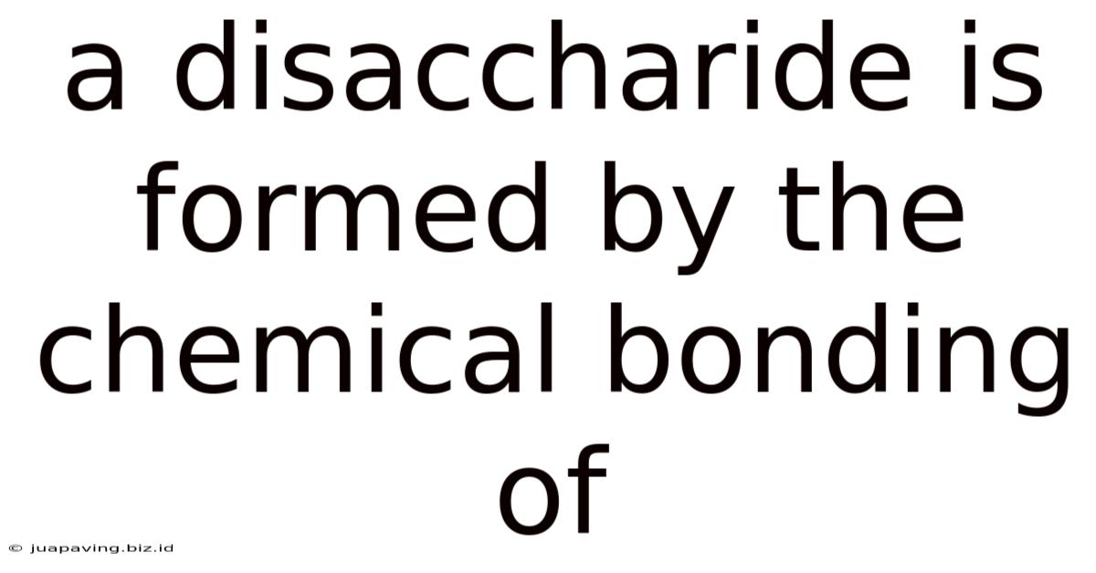 A Disaccharide Is Formed By The Chemical Bonding Of