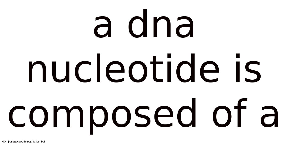 A Dna Nucleotide Is Composed Of A