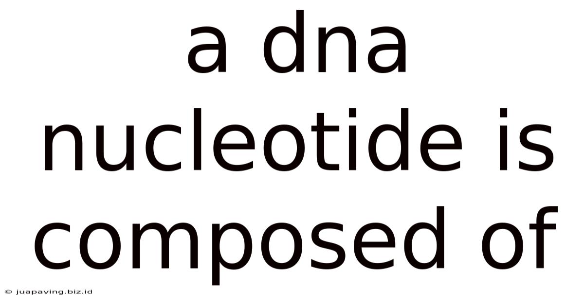 A Dna Nucleotide Is Composed Of