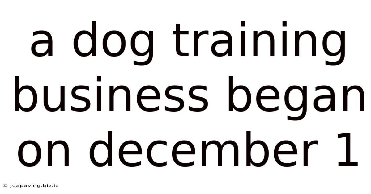 A Dog Training Business Began On December 1