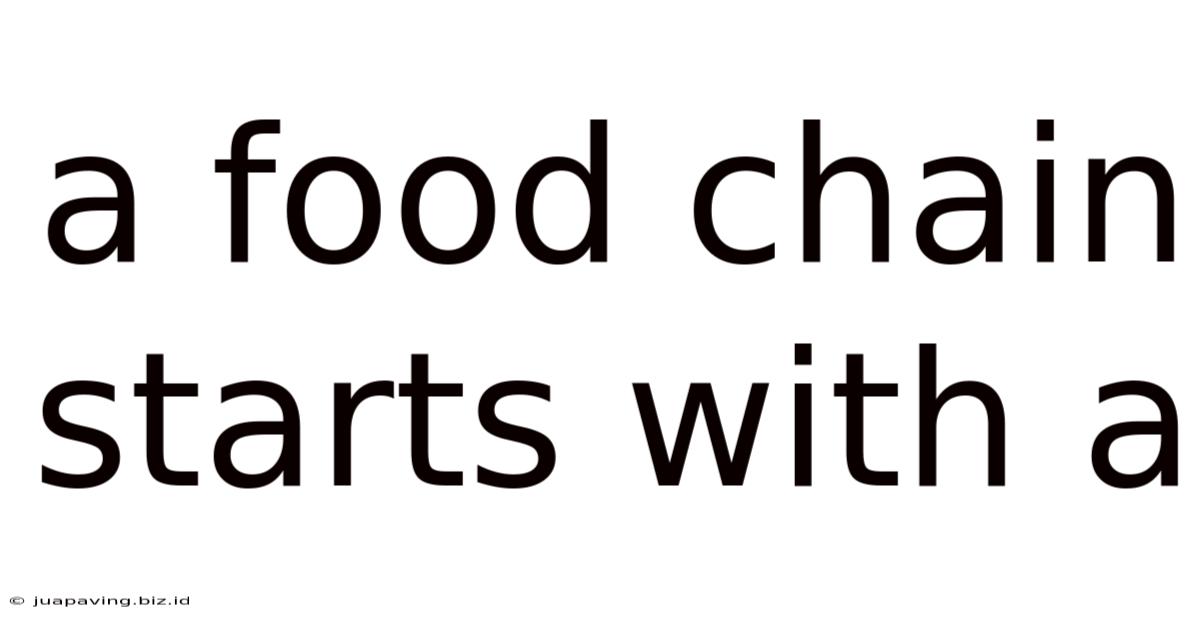 A Food Chain Starts With A