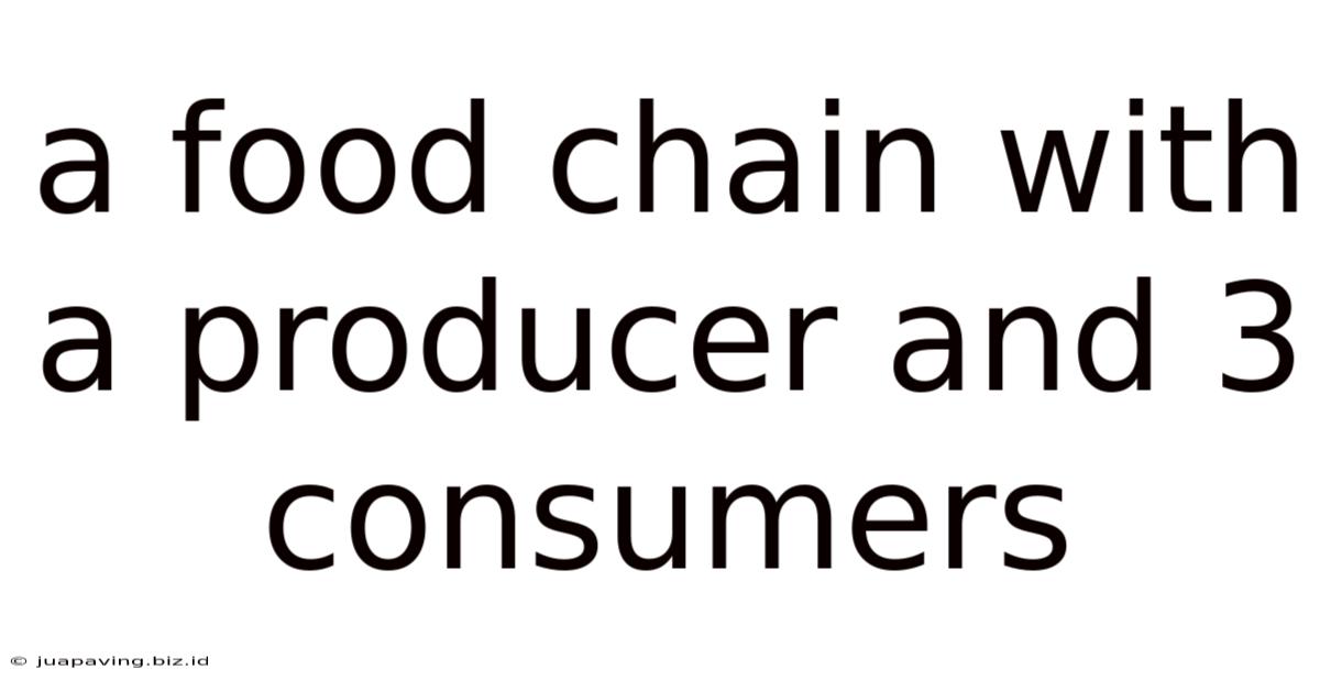 A Food Chain With A Producer And 3 Consumers