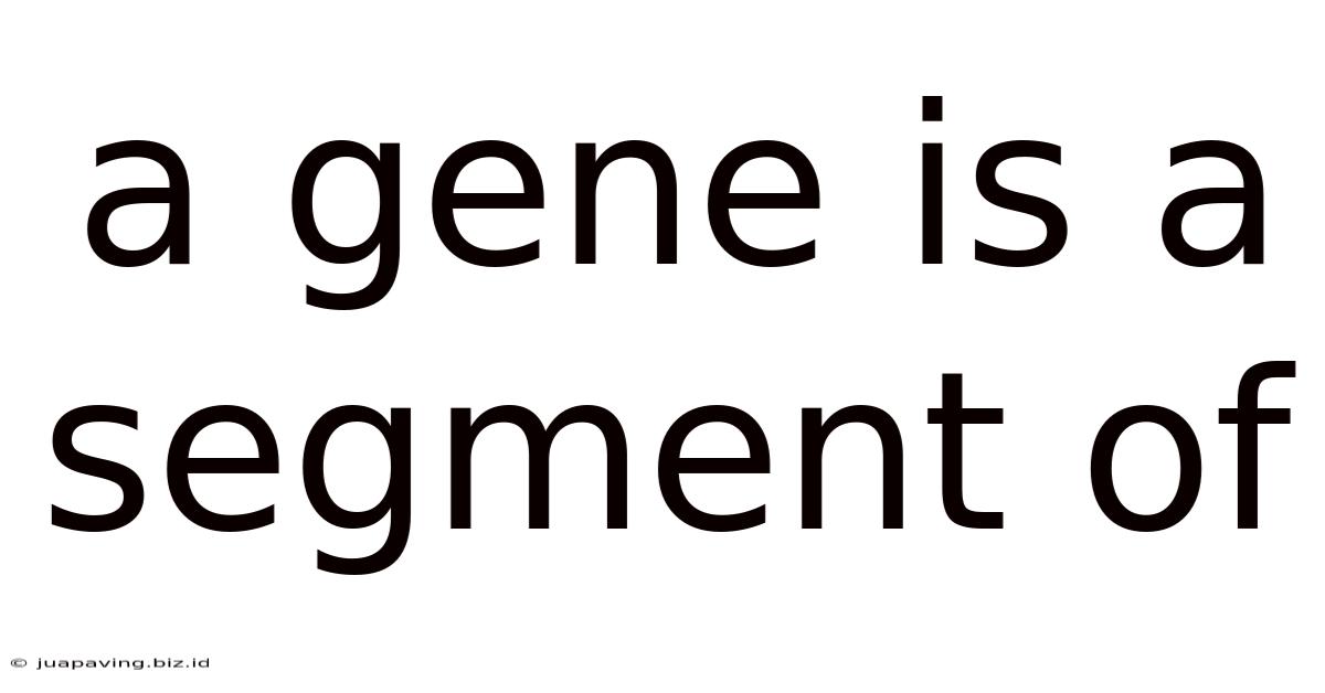 A Gene Is A Segment Of