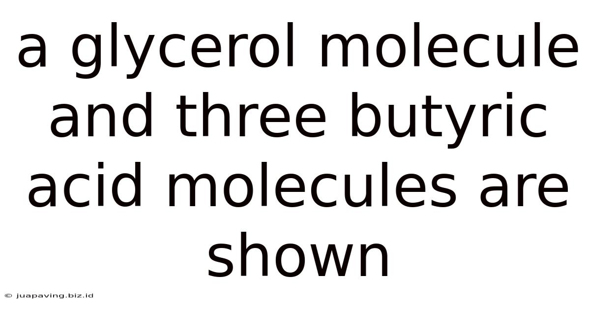 A Glycerol Molecule And Three Butyric Acid Molecules Are Shown