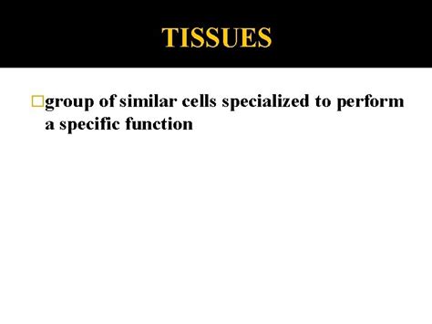 A Group Of Similar Cells Performing A Specific Function