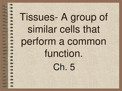 A Group Of Similar Cells That Perform A Common Function