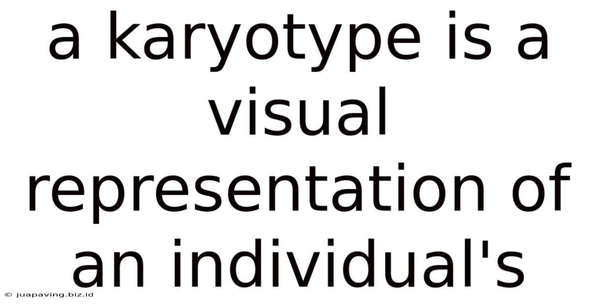 A Karyotype Is A Visual Representation Of An Individual's