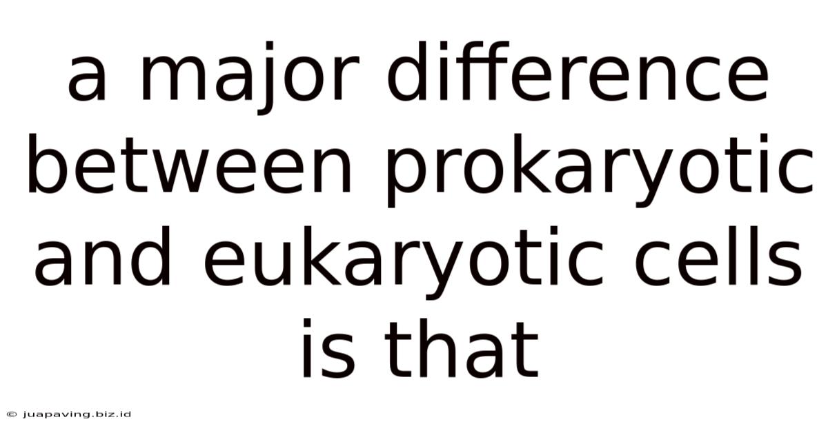 A Major Difference Between Prokaryotic And Eukaryotic Cells Is That