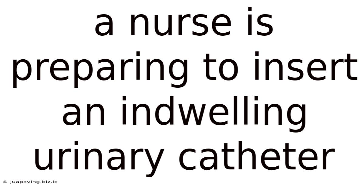 A Nurse Is Preparing To Insert An Indwelling Urinary Catheter