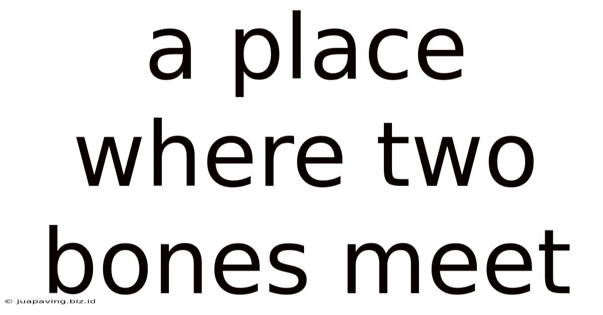 A Place Where Two Bones Meet