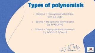 A Polynomial With Only One Term