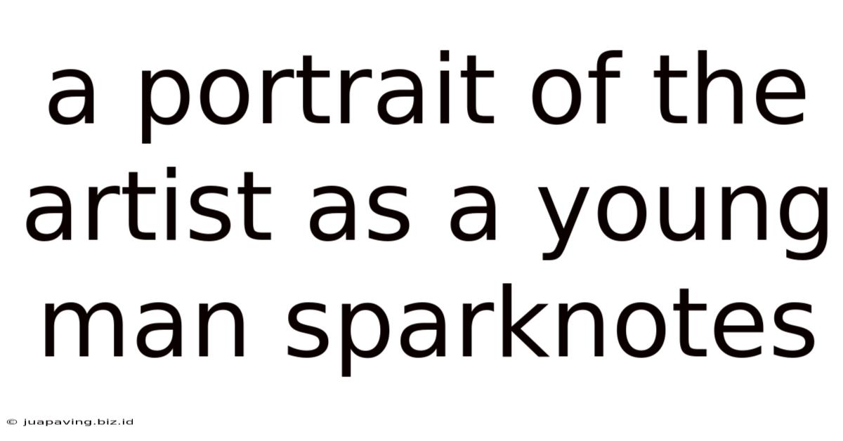 A Portrait Of The Artist As A Young Man Sparknotes