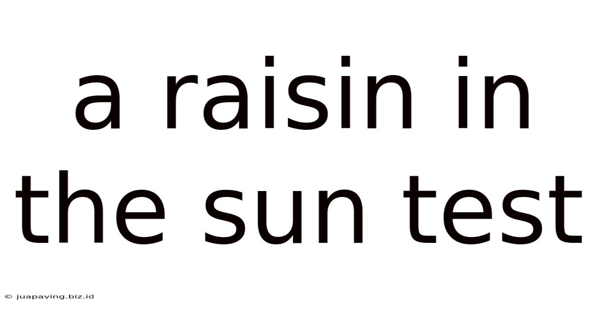 A Raisin In The Sun Test