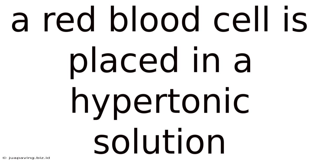 A Red Blood Cell Is Placed In A Hypertonic Solution