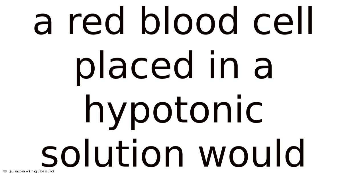 A Red Blood Cell Placed In A Hypotonic Solution Would