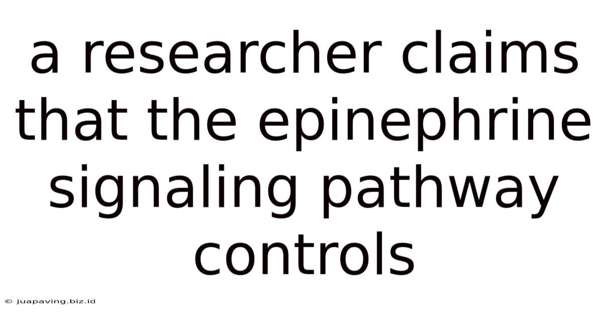 A Researcher Claims That The Epinephrine Signaling Pathway Controls