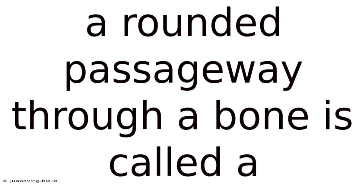 A Rounded Passageway Through A Bone Is Called A