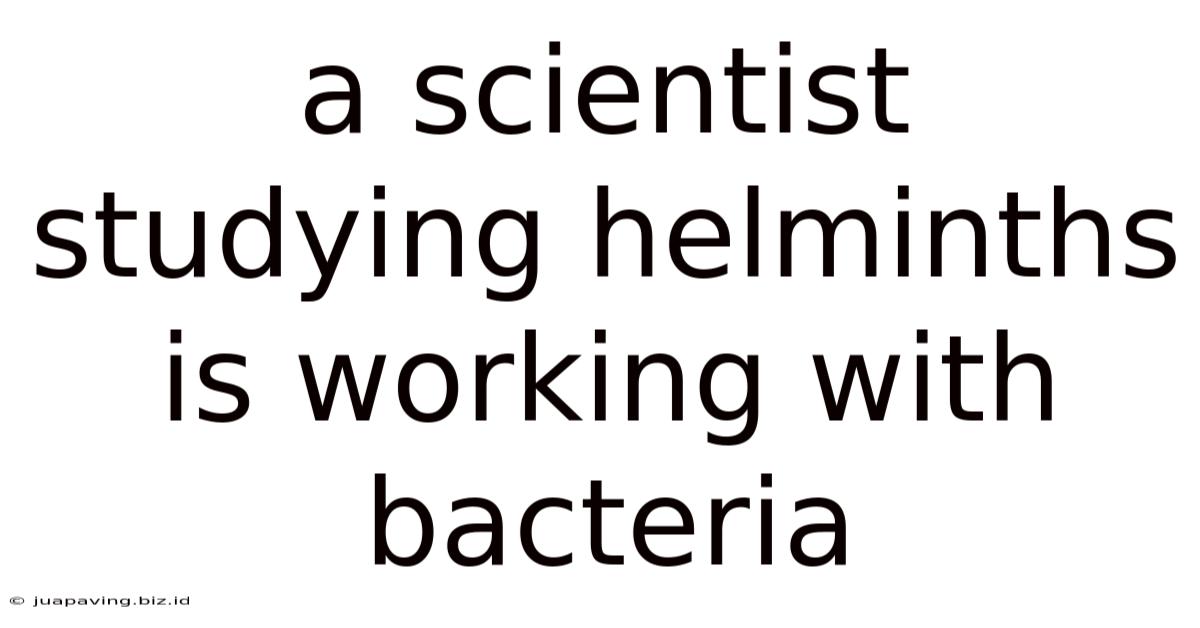 A Scientist Studying Helminths Is Working With Bacteria
