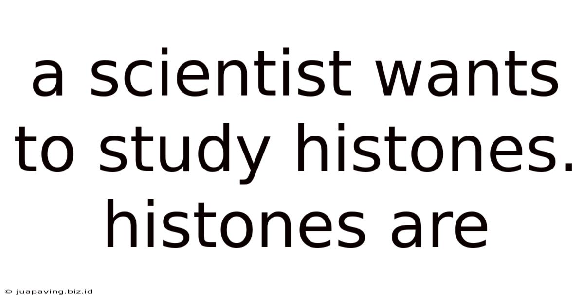 A Scientist Wants To Study Histones. Histones Are