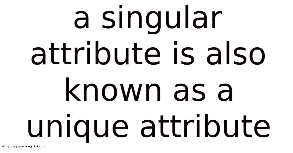 A Singular Attribute Is Also Known As A Unique Attribute