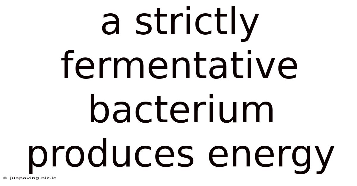 A Strictly Fermentative Bacterium Produces Energy