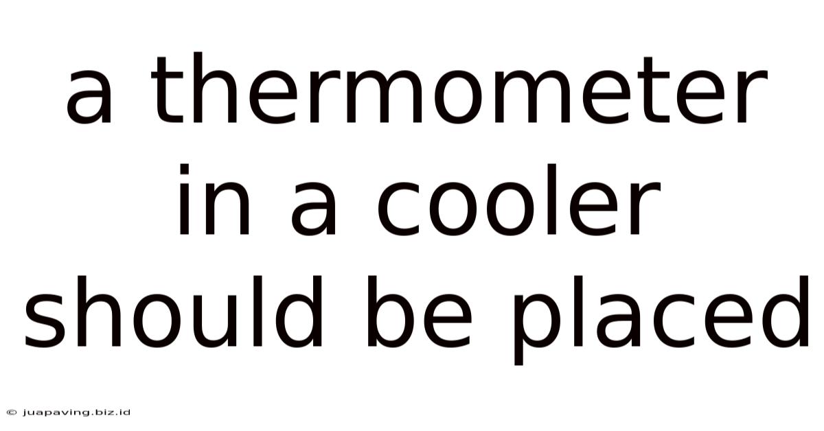 A Thermometer In A Cooler Should Be Placed