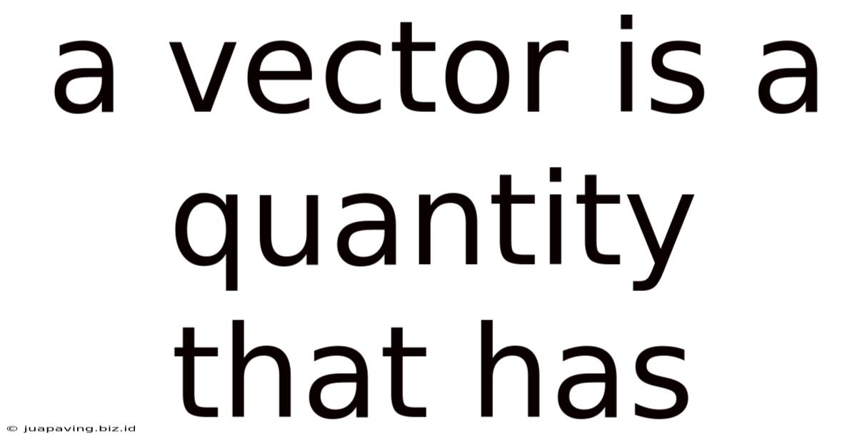 A Vector Is A Quantity That Has