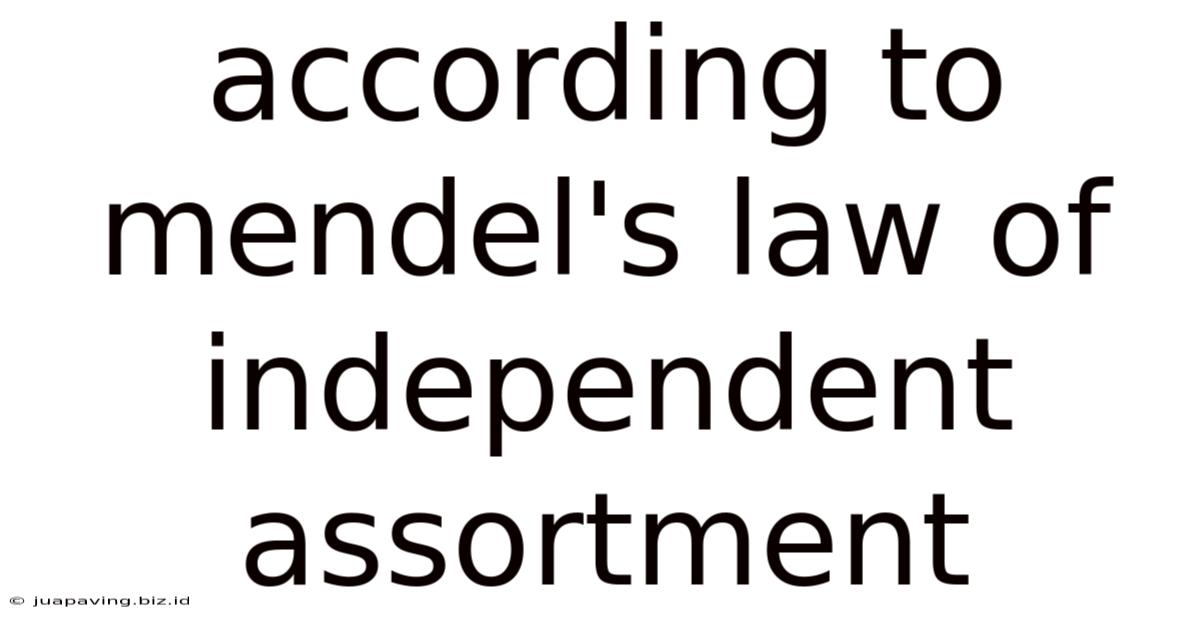 According To Mendel's Law Of Independent Assortment