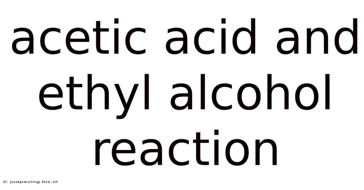 Acetic Acid And Ethyl Alcohol Reaction