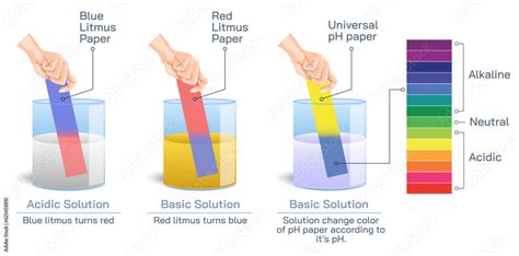 Acids Turn Litmus Paper What Color