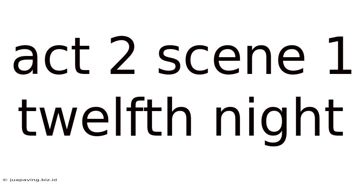 Act 2 Scene 1 Twelfth Night