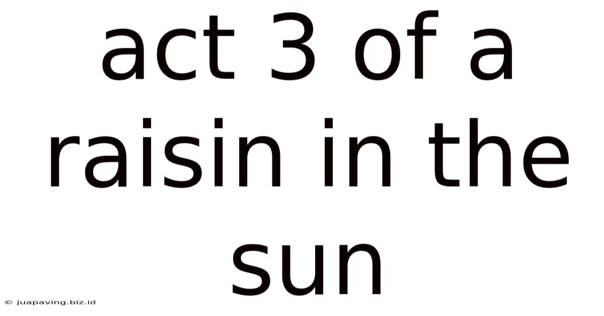 Act 3 Of A Raisin In The Sun