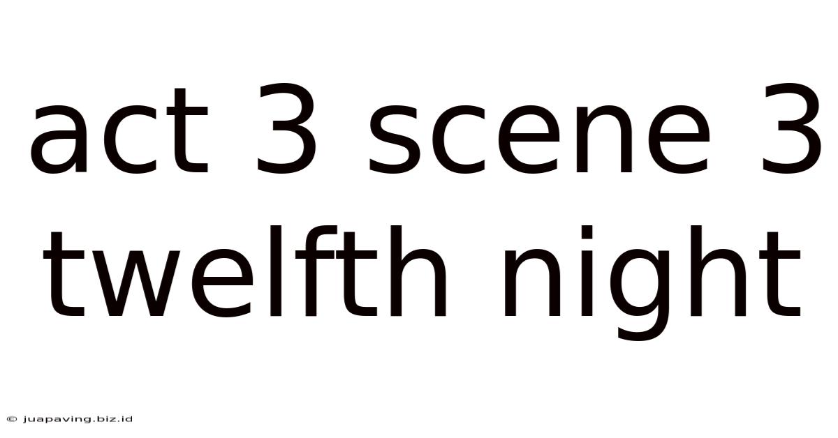 Act 3 Scene 3 Twelfth Night