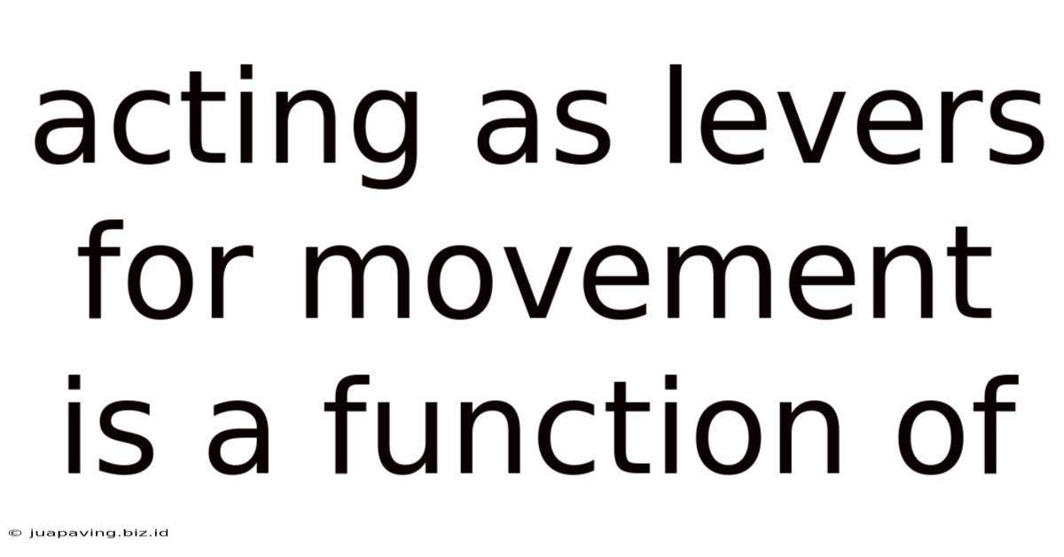 Acting As Levers For Movement Is A Function Of