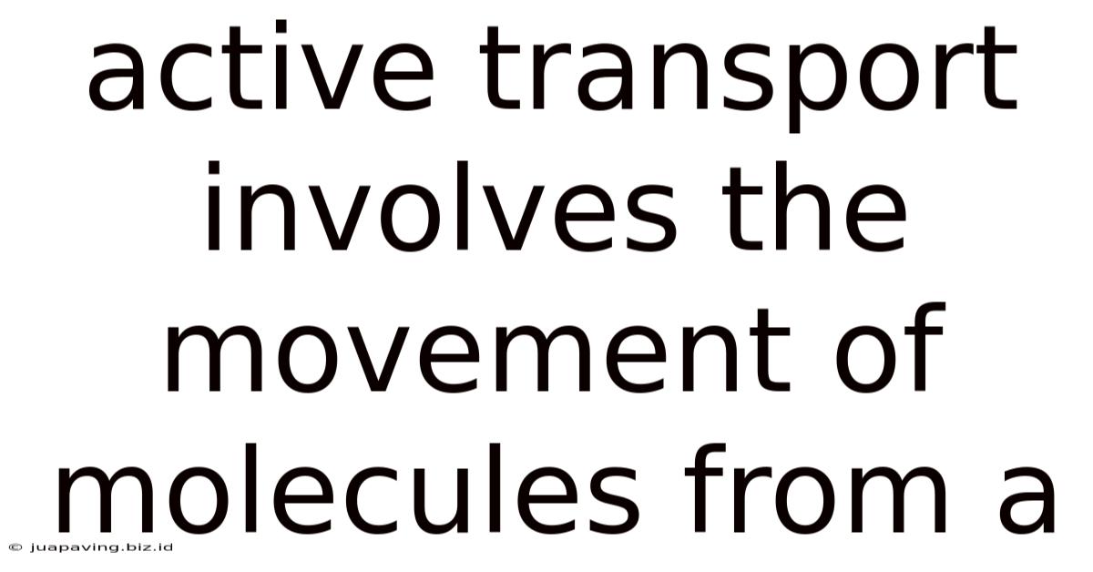 Active Transport Involves The Movement Of Molecules From A