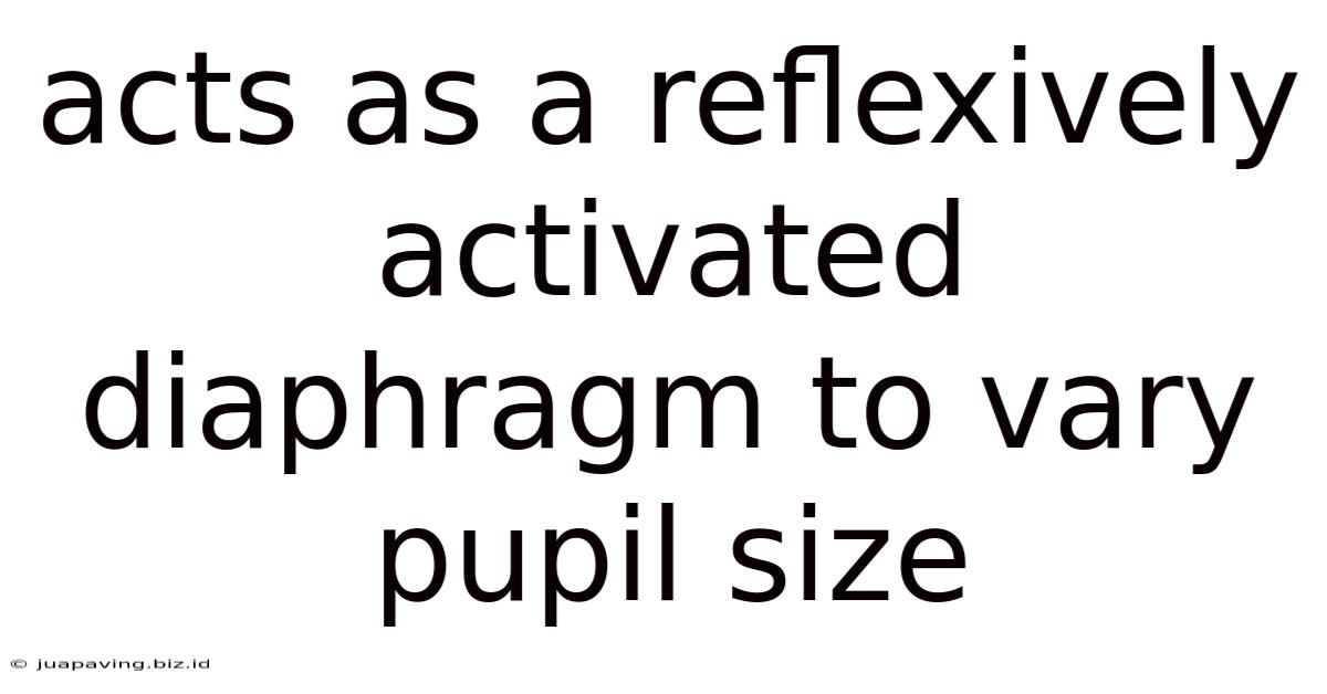 Acts As A Reflexively Activated Diaphragm To Vary Pupil Size