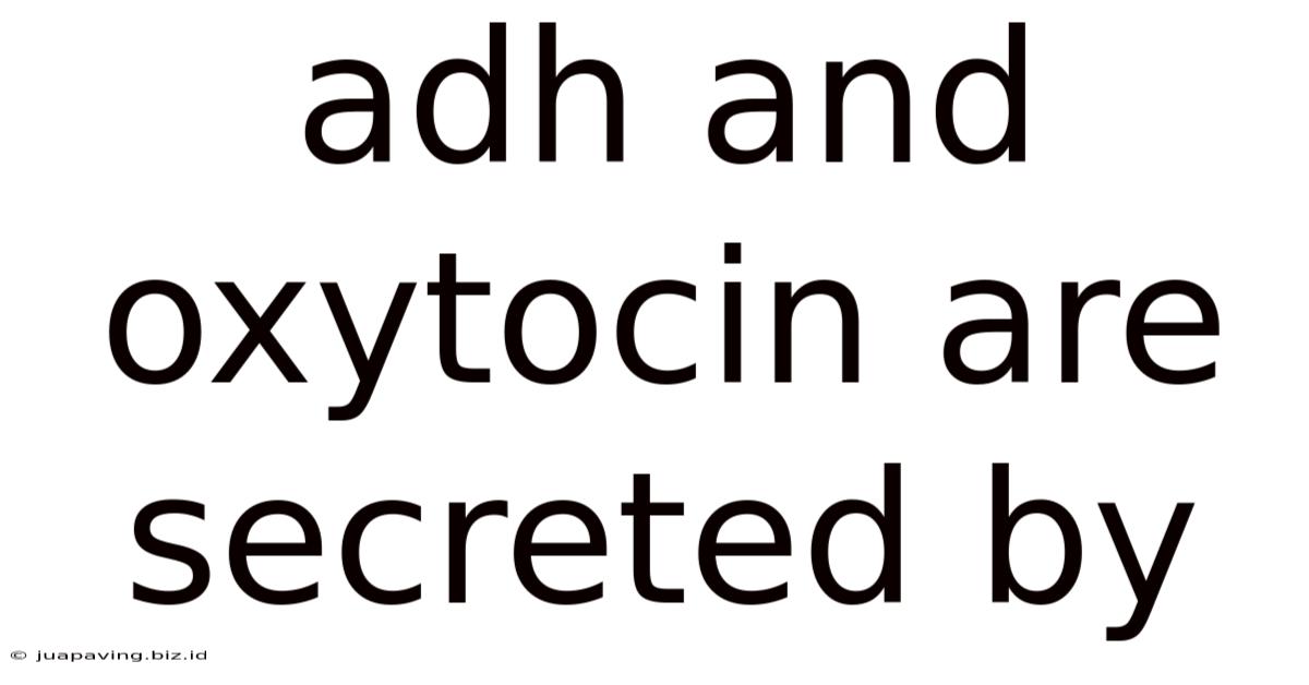 Adh And Oxytocin Are Secreted By